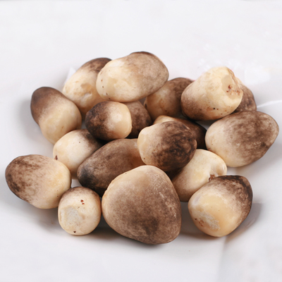 食用菌 食用菌
